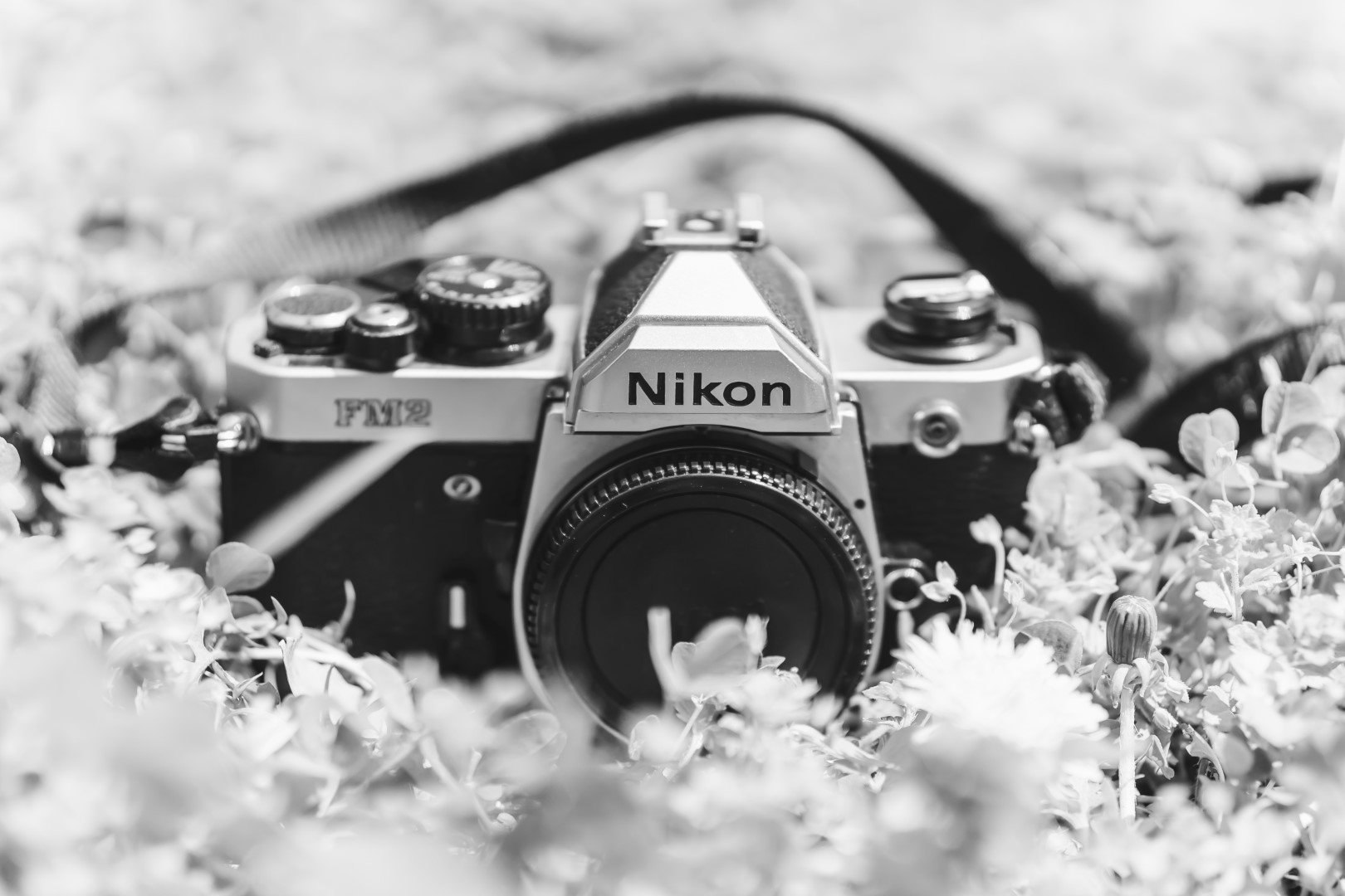 What Battery does the Nikon FM2 use? Guide) 35milly